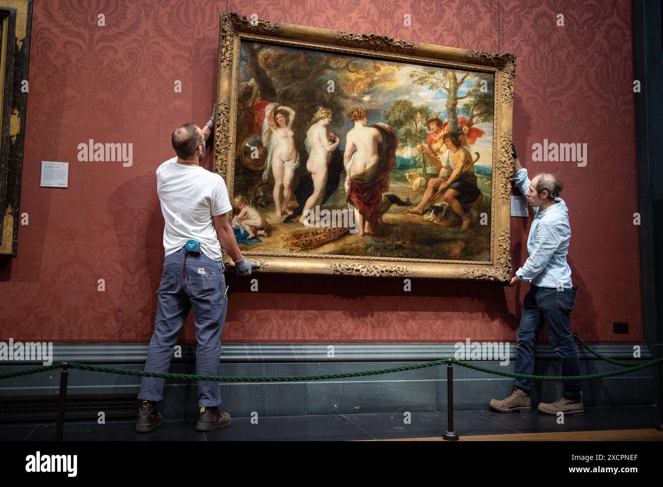 Londres, Angleterre, Royaume-Uni. 18 juin 2024. Après une restauration de 14 mois effectuée dans le département de conservation de la Galerie, le jugement de Paris de Rubens (probablement 1632'''5) revient au public le 18 juin 2024. Ce chef-d'œuvre, peint par Peter Paul Rubens (1577'''1640) dans la dernière décennie de sa vie, représente Paris faisant son choix entre les déesses Vénus, Minerve et Junon. La restauration révèle de nouvelles découvertes sur cette pièce importante au sein de la collection de la Galerie nationale. (Crédit image : © Thomas Krych/ZUMA Press Wire) USAGE ÉDITORIAL SEULEMENT! Pas pour Commerc Banque D'Images
