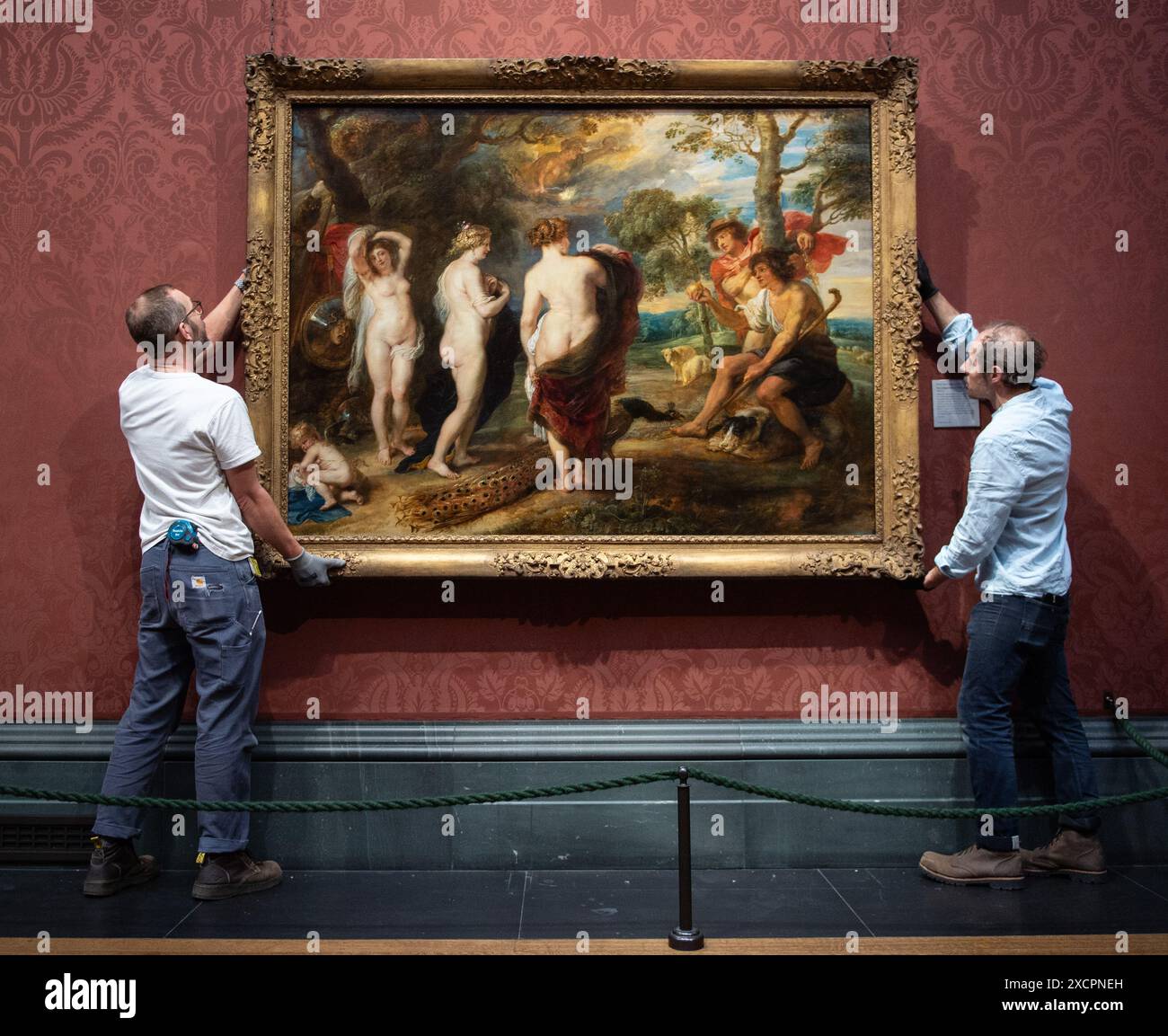 Londres, Angleterre, Royaume-Uni. 18 juin 2024. Après une restauration de 14 mois effectuée dans le département de conservation de la Galerie, le jugement de Paris de Rubens (probablement 1632'''5) revient au public le 18 juin 2024. Ce chef-d'œuvre, peint par Peter Paul Rubens (1577'''1640) dans la dernière décennie de sa vie, représente Paris faisant son choix entre les déesses Vénus, Minerve et Junon. La restauration révèle de nouvelles découvertes sur cette pièce importante au sein de la collection de la Galerie nationale. (Crédit image : © Thomas Krych/ZUMA Press Wire) USAGE ÉDITORIAL SEULEMENT! Pas pour Commerc Banque D'Images