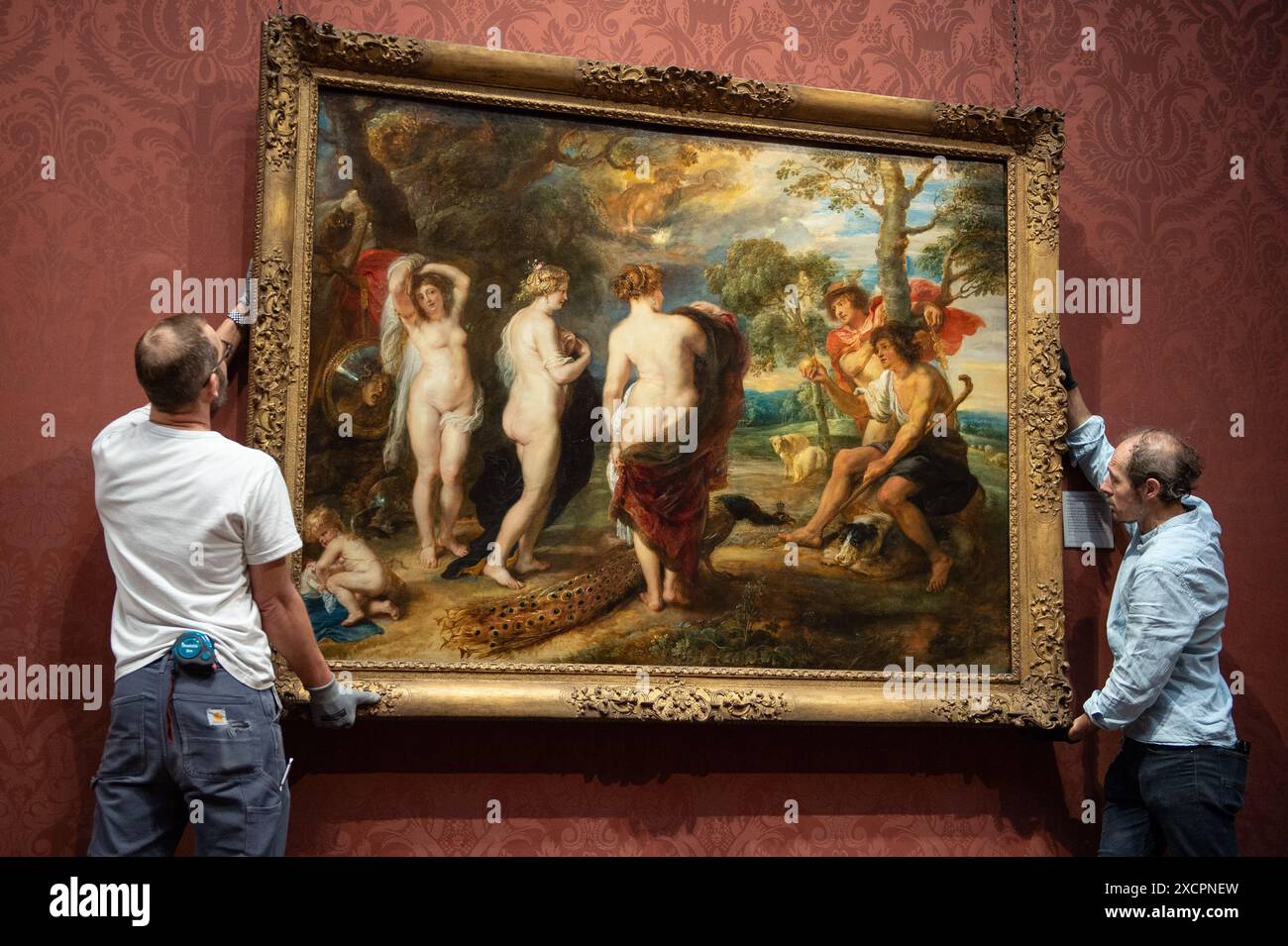Londres, Angleterre, Royaume-Uni. 18 juin 2024. Après une restauration de 14 mois effectuée dans le département de conservation de la Galerie, le jugement de Paris de Rubens (probablement 1632'''5) revient au public le 18 juin 2024. Ce chef-d'œuvre, peint par Peter Paul Rubens (1577'''1640) dans la dernière décennie de sa vie, représente Paris faisant son choix entre les déesses Vénus, Minerve et Junon. La restauration révèle de nouvelles découvertes sur cette pièce importante au sein de la collection de la Galerie nationale. (Crédit image : © Thomas Krych/ZUMA Press Wire) USAGE ÉDITORIAL SEULEMENT! Pas pour Commerc Banque D'Images