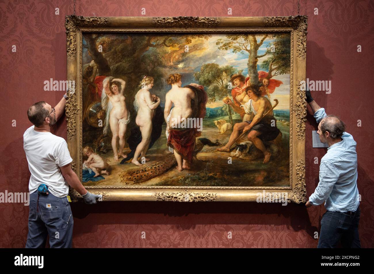 Londres, Angleterre, Royaume-Uni. 18 juin 2024. Après une restauration de 14 mois effectuée dans le département de conservation de la Galerie, le jugement de Paris de Rubens (probablement 1632'''5) revient au public le 18 juin 2024. Ce chef-d'œuvre, peint par Peter Paul Rubens (1577'''1640) dans la dernière décennie de sa vie, représente Paris faisant son choix entre les déesses Vénus, Minerve et Junon. La restauration révèle de nouvelles découvertes sur cette pièce importante au sein de la collection de la Galerie nationale. (Crédit image : © Thomas Krych/ZUMA Press Wire) USAGE ÉDITORIAL SEULEMENT! Pas pour Commerc Banque D'Images