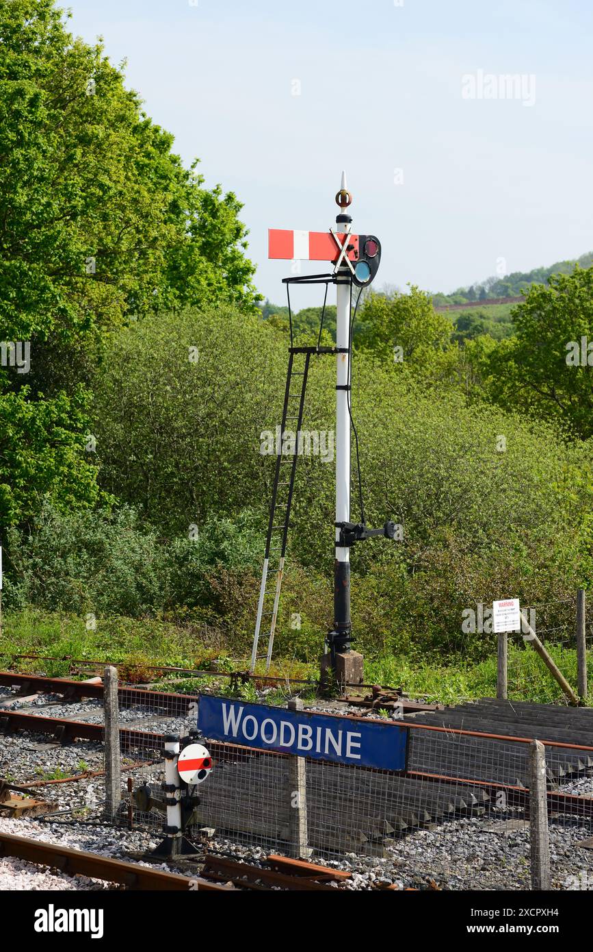 Un signal sémaphore du quadrant inférieur et un signal de dérivation au sol à la station Totnes Riverside sur le South Devon Railway. Banque D'Images