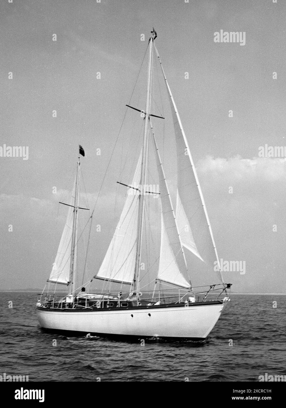 AGENCE PHOTO PPL - COPYRIGHT CRÉDIT PHOTO RESTREINT : Eileen Ramsey Archive/Agence photo PPL tel : +44(0) 7768 395719 E-mail : ppl@mistral.co.uk Web Banque D'Images