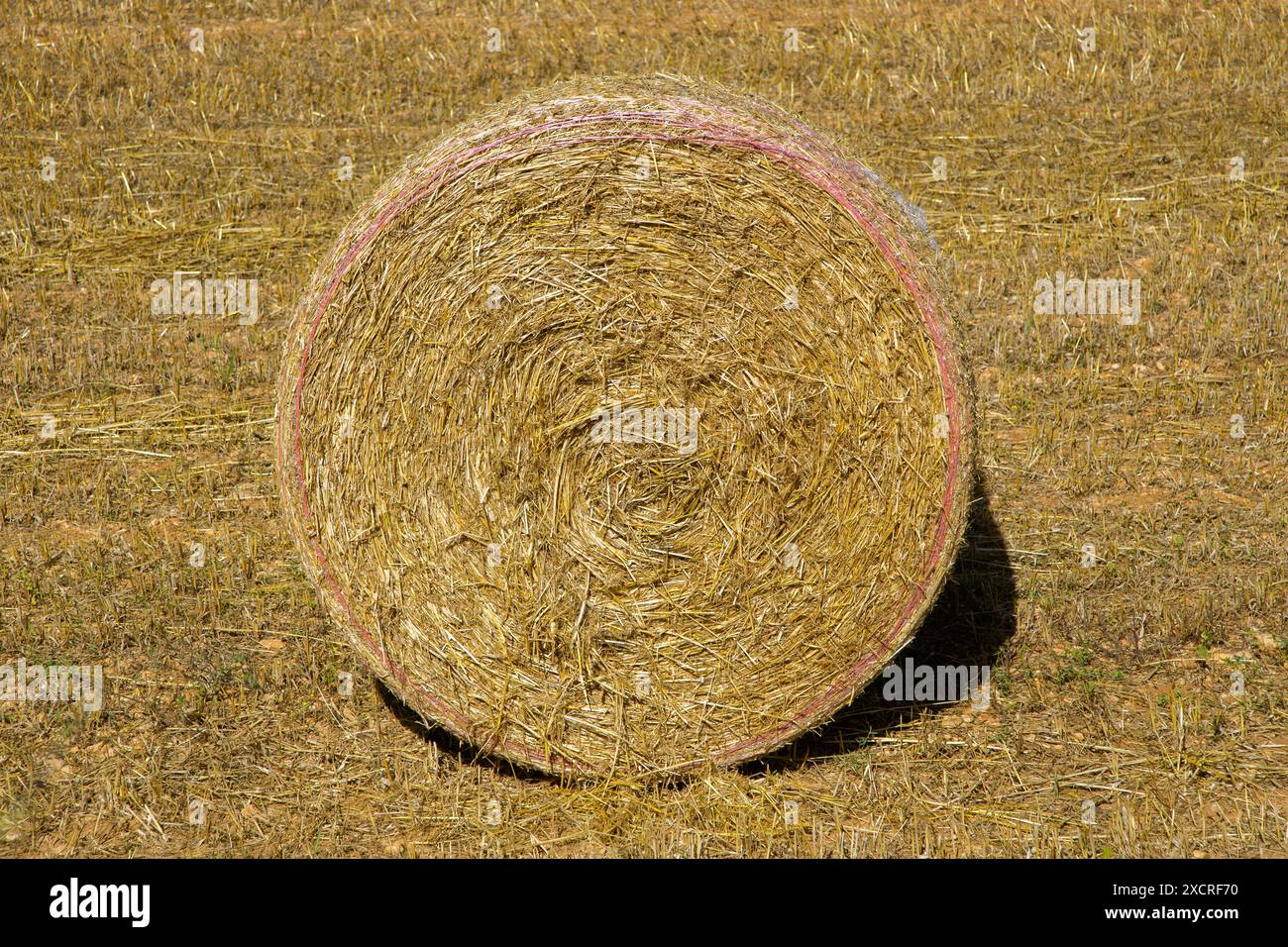 Botte de foin Banque D'Images