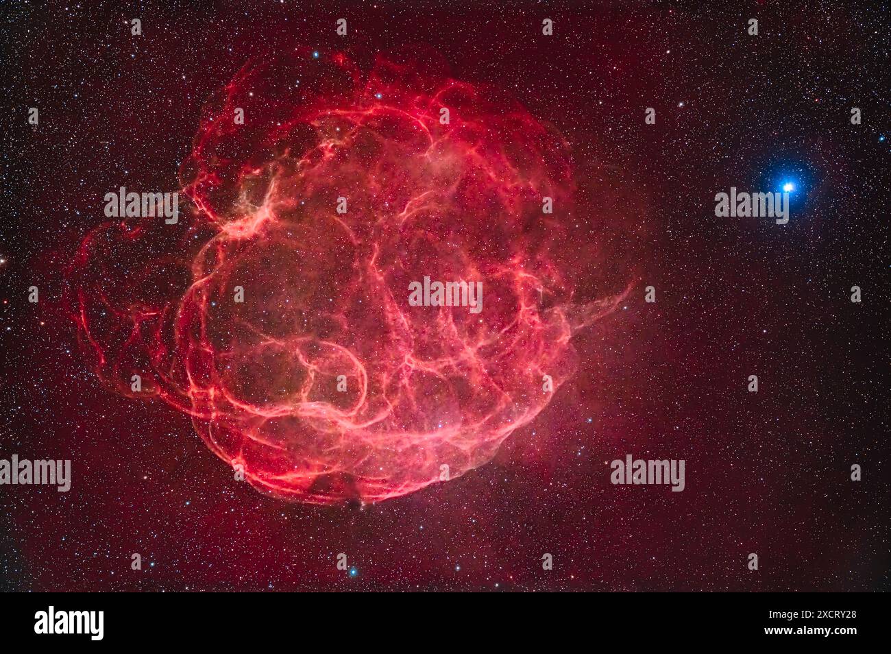Il s'agit du reste de la supernova connue sous le nom de nébuleuse des spaghettis, mais plus formellement sous le nom de Simeis 147 ou Sharpless 2-240. Il a été découvert à Crimée Astr Banque D'Images