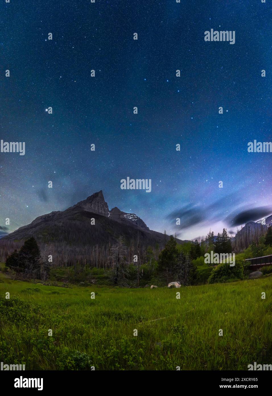 Un panorama vertical du ciel printanier au clair de lune avec Big Dipper et Arcturus sur le contour déchiqueté du pic Anderson dans la région de Red Rock Canyon Banque D'Images