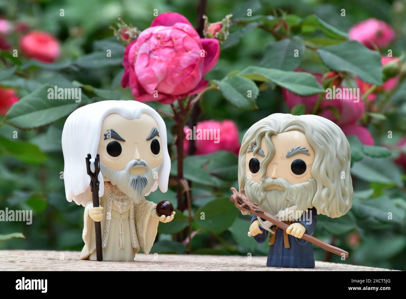 Funko Pop figurines d'action des sorciers Saruman le Blanc et Gandalf le gris du film fantastique le Seigneur des anneaux. Jardin Moody, roses rouges. Banque D'Images