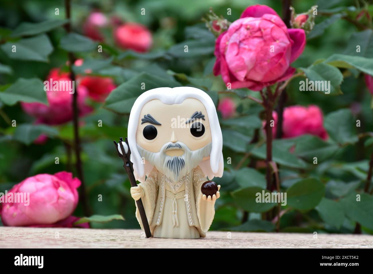 Funko Pop figurine d'action du sorcier Saruman le Blanc du film fantastique le Seigneur des anneaux. Mystérieux jardin sombre, roses rouges. Banque D'Images