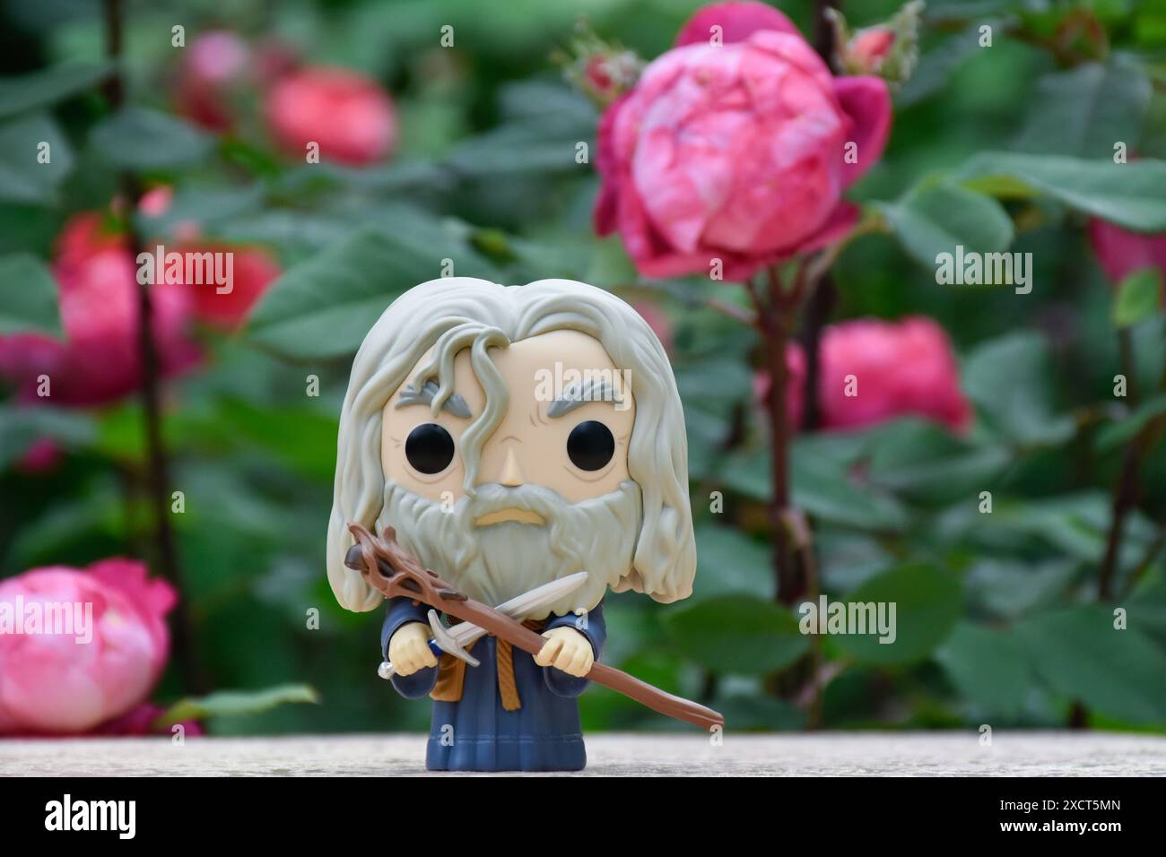 Funko Pop figurine d'action du sorcier Gandalf le gris tenant l'épée et le bâton du film fantastique le Seigneur des anneaux. Jardin mystérieux, roses rouges. Banque D'Images