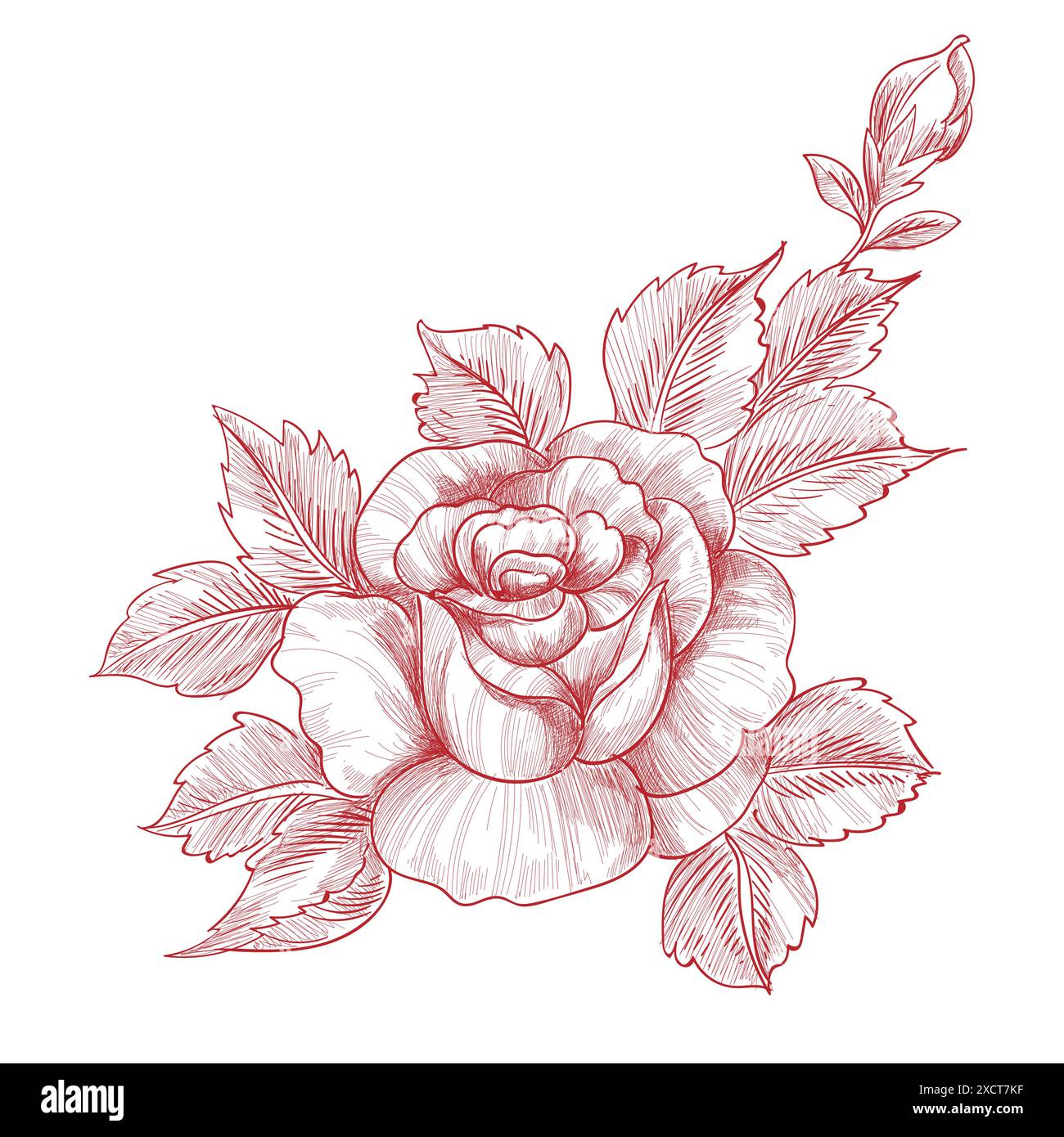 Dessin à la main et dessin de roses motif floral Illustration de Vecteur