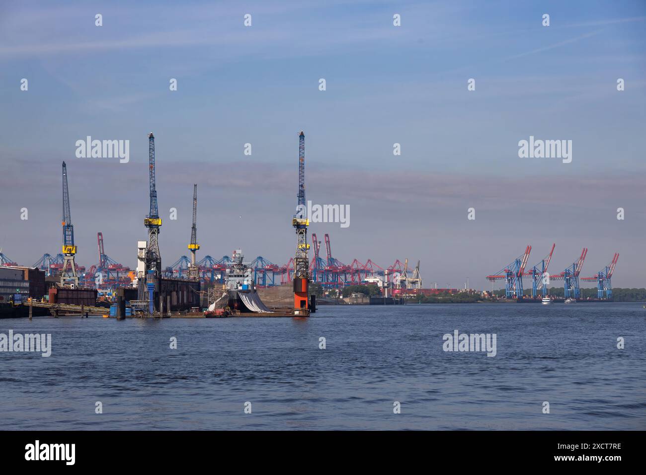 grues dans le port de hambourg Banque D'Images