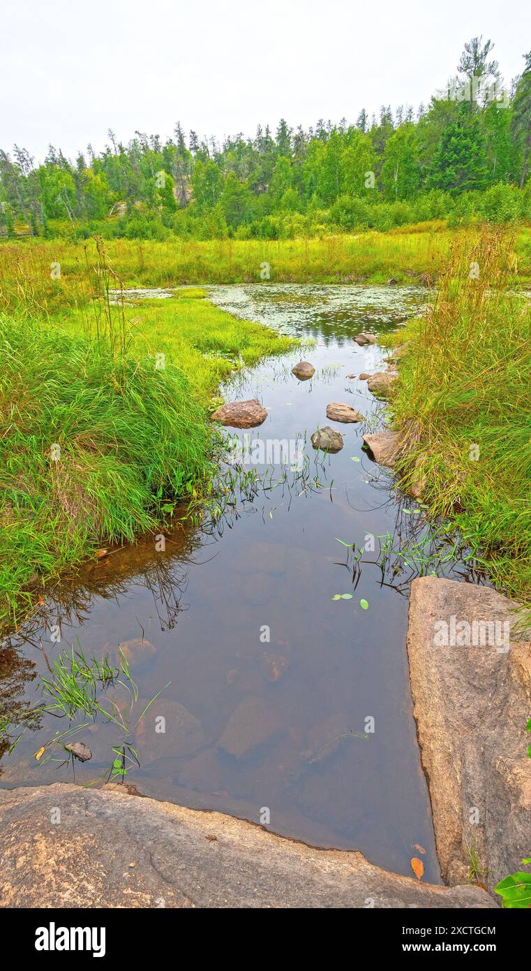 Ruisseau tranquille dans un habitat de terres humides dans les bois du Nord dans le parc provincial Whitesell au Manitoba Banque D'Images