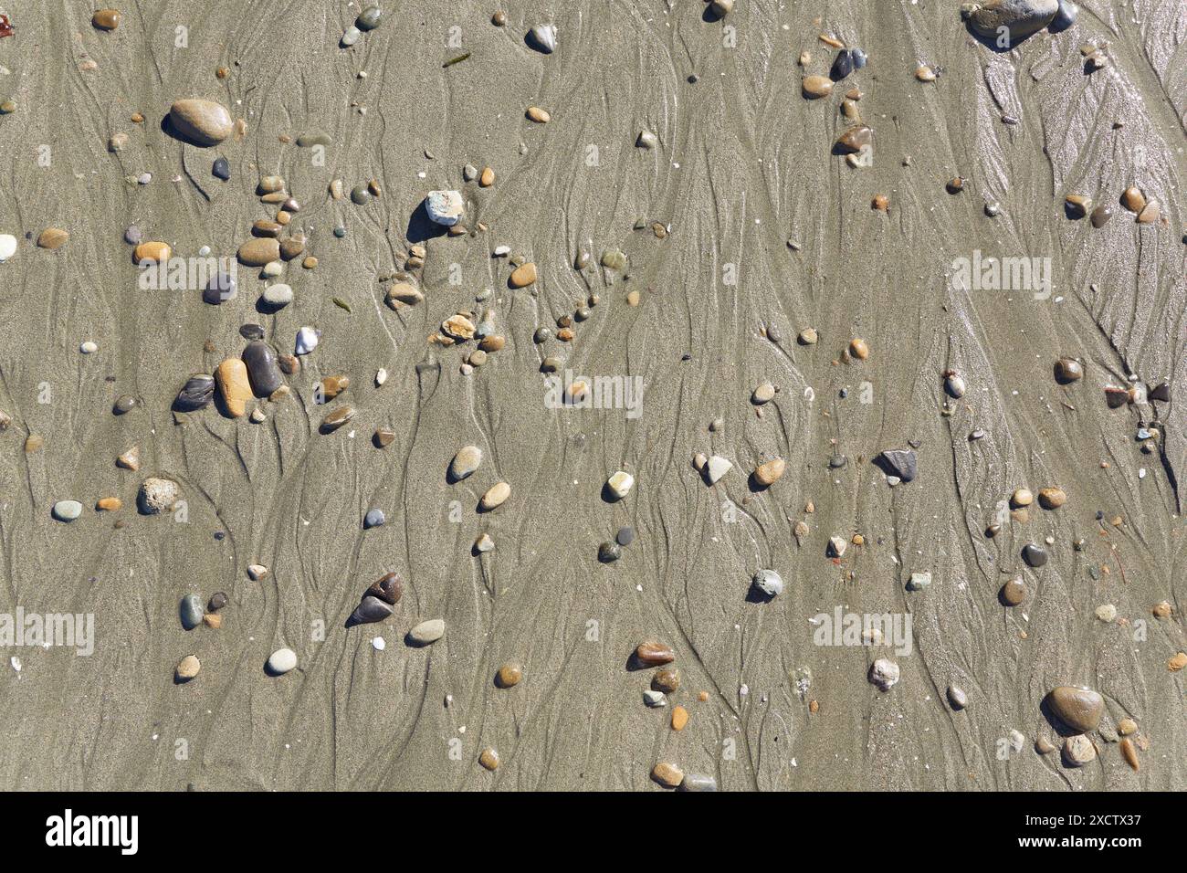Pierres dans le sable humide à une plage Banque D'Images