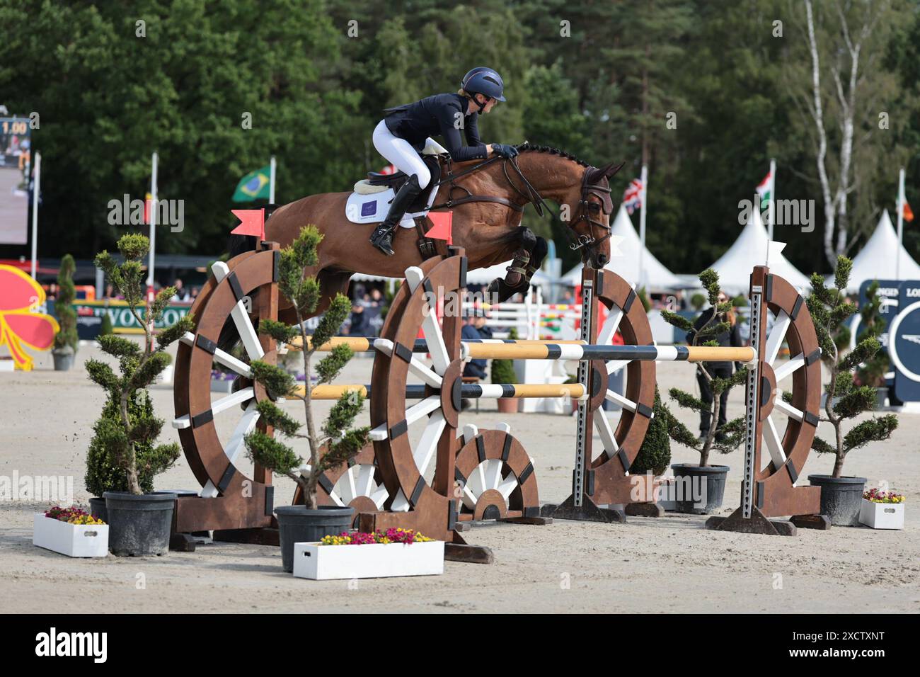 Caroline Harris de Grande-Bretagne avec D. Day lors du saut d'obstacles CCI5* aux Longines Luhmuhlen Horse Trials le 16 juin 2024, Luhmuhlen, Allemagne (photo de Maxime David - MXIMD Pictures) Banque D'Images