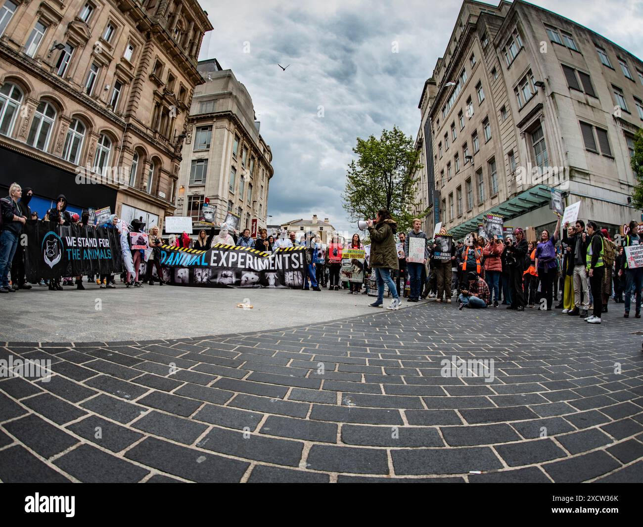 Journée mondiale des animaux dans les laboratoires marche et rassemblement, Liverpool City Centre, 27 avril 2024 Banque D'Images