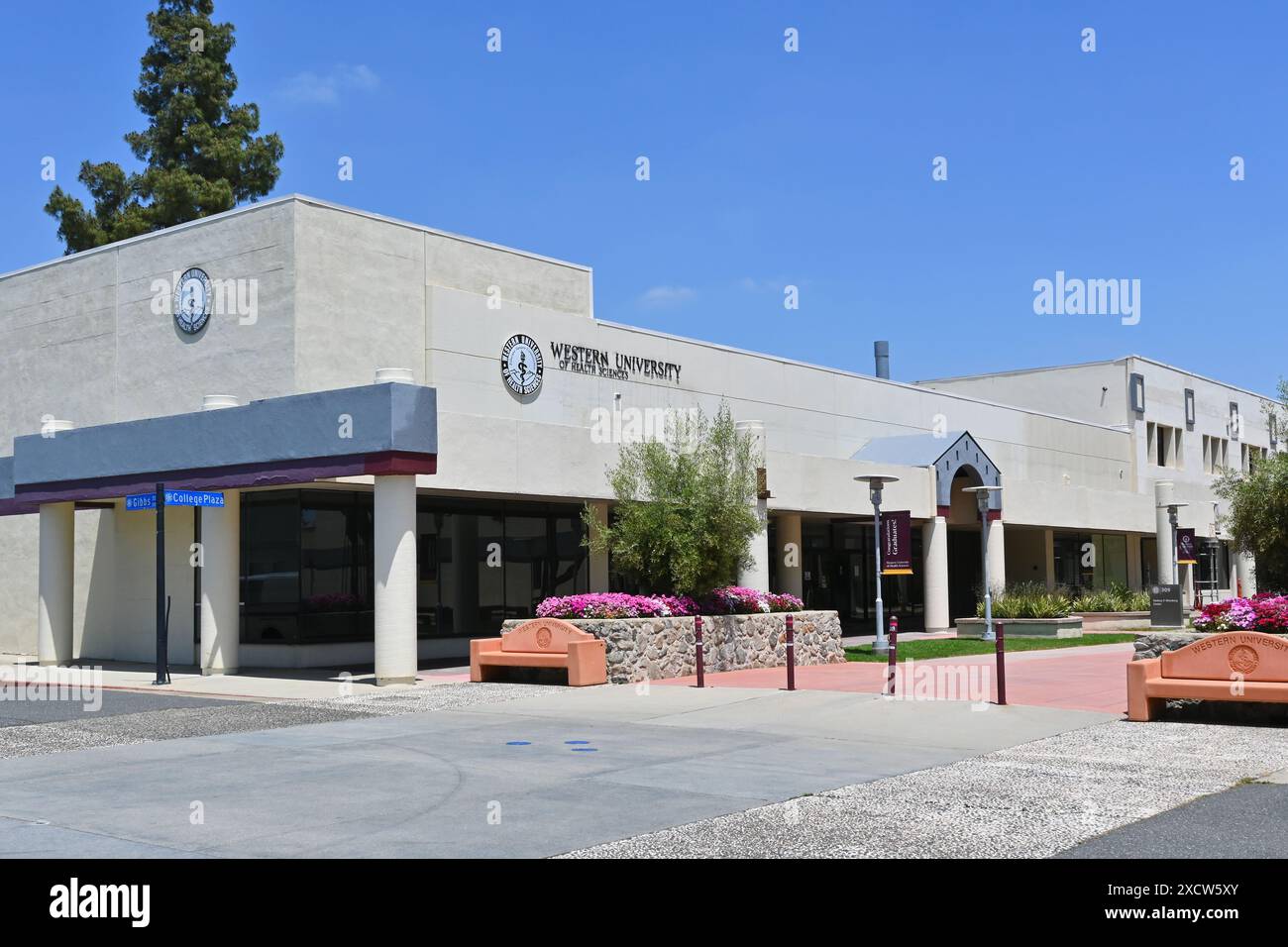 POMONA, CALIFORNIE - 18 MAI 2024 : Western University of Health Sciences est une université médicale privée située à Pomona, en Californie. Banque D'Images