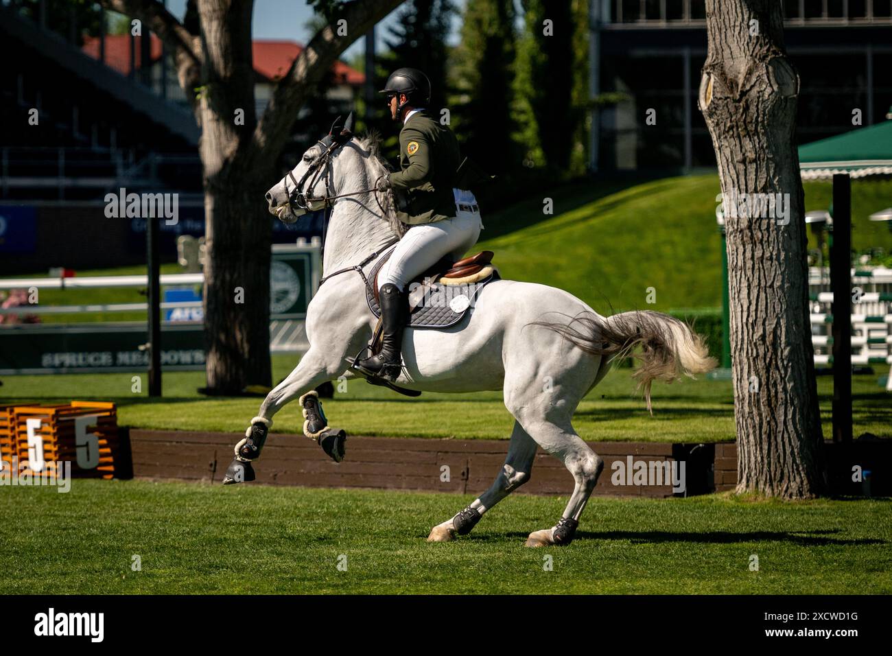 Sport équestre de haut niveau à Spruce Meadows à Calgary Banque D'Images