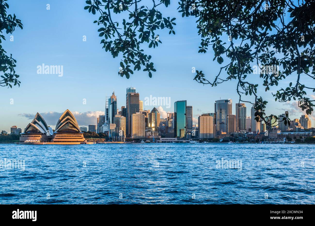 Vue sur les gratte-ciel du quartier des affaires de Sydney avec Opéra et Circular Quay depuis Kirribilli, Sydney Harbour, Nouvelle-Galles du Sud, Australie Banque D'Images