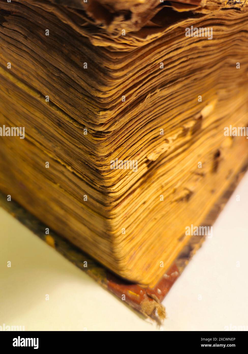 Gros plan sur le bord d'un vieux livre vieilli montrant ses pages jaunies. Banque D'Images