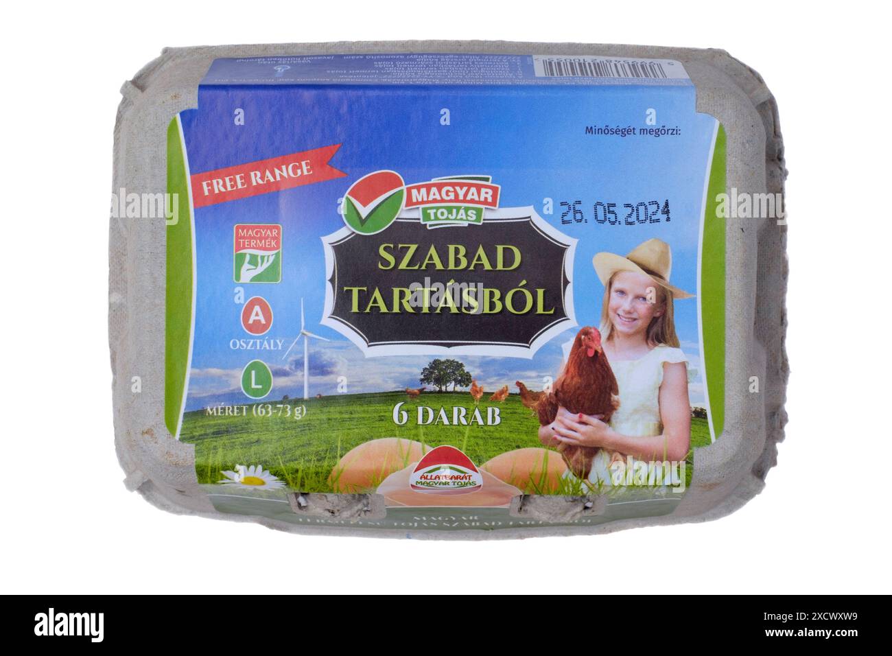 boîte hongroise fermée de six grands œufs élevés en liberté découpés sur fond blanc Banque D'Images