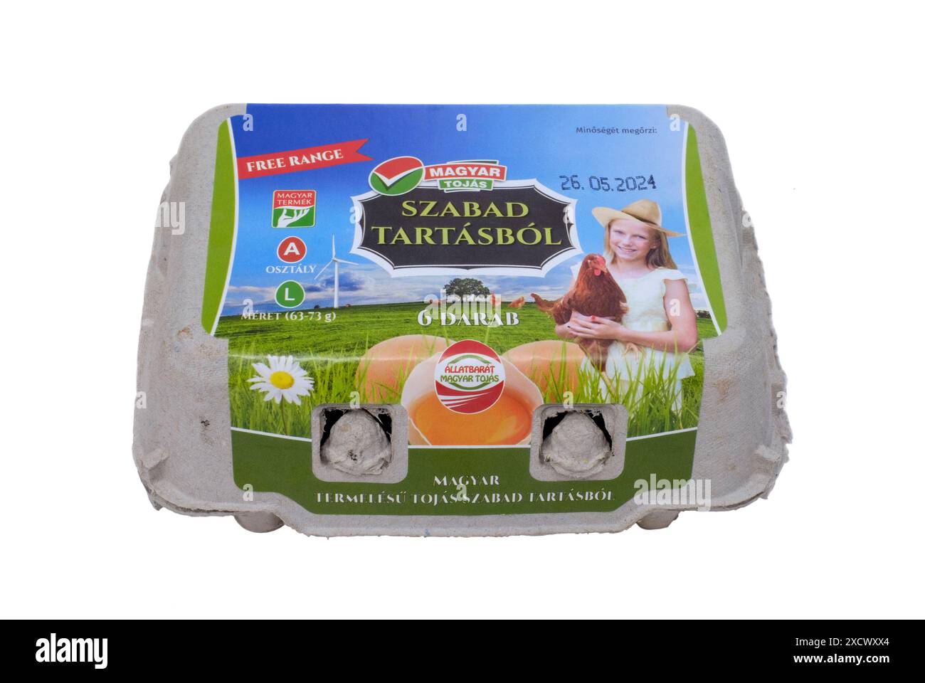 boîte hongroise fermée de six grands œufs élevés en liberté découpés sur fond blanc Banque D'Images
