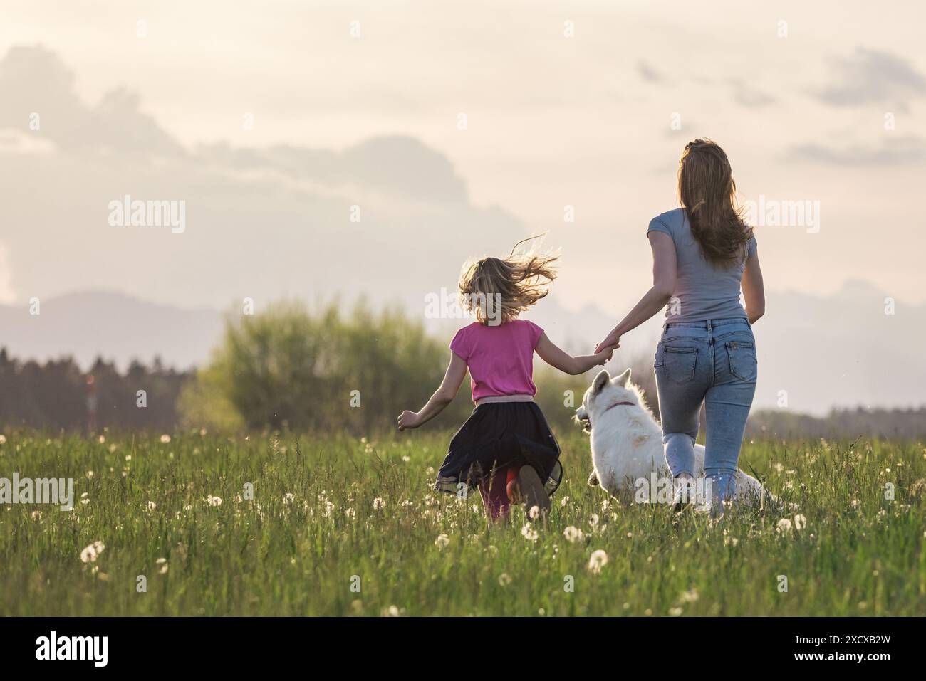 Scène idyllique de mère, fille et chien de compagnie courent joyeusement dans le champ d'herbe plein de libellules. Sens du concept de vie. Banque D'Images