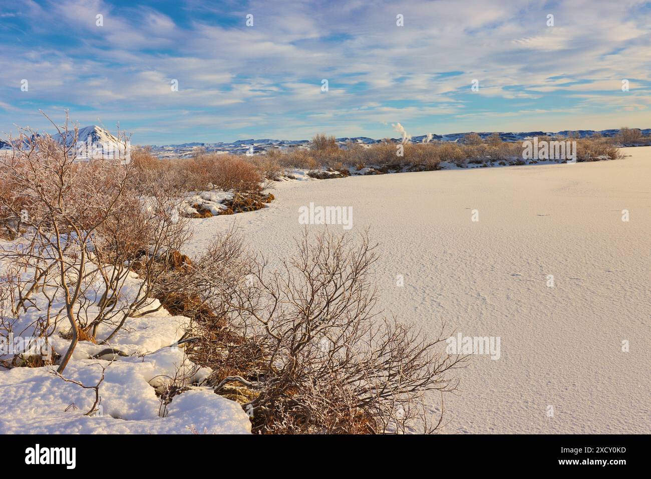 Paysage d'hiver islandais d'un lac gelé et d'arbustes givrés. Banque D'Images