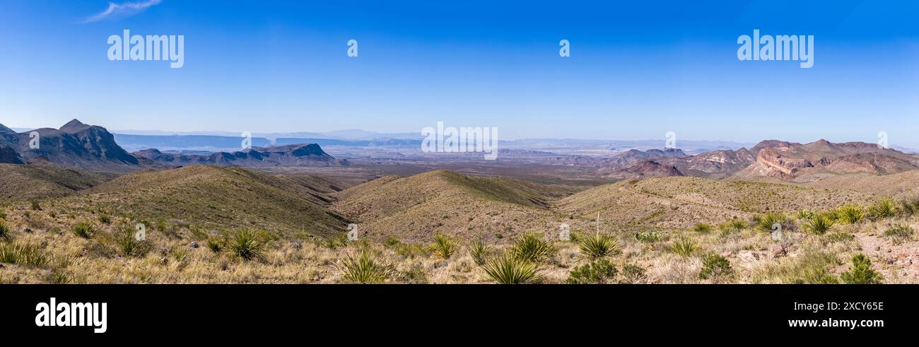 Sotol Vista dans les montagnes de Chisos, Texas, États-Unis Banque D'Images