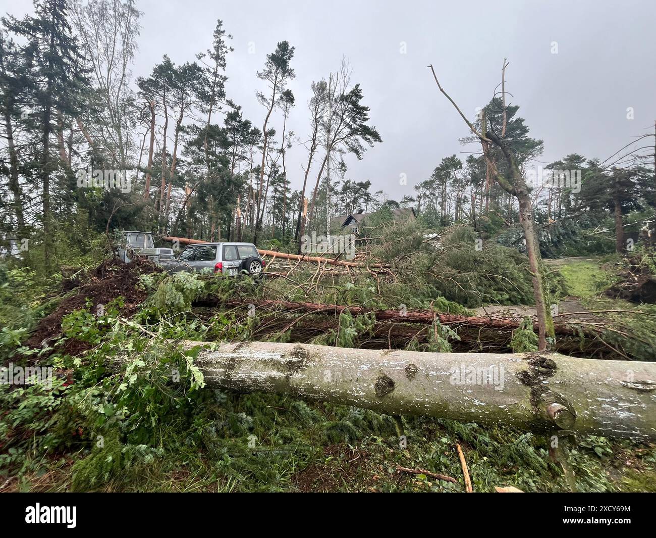 19 juin 2024, Brandebourg, Prösen : des véhicules se tiennent entre des arbres tombés. Une tempête a causé des dégâts considérables à certains endroits mardi soir. Photo : Andreas Richter/dpa Banque D'Images