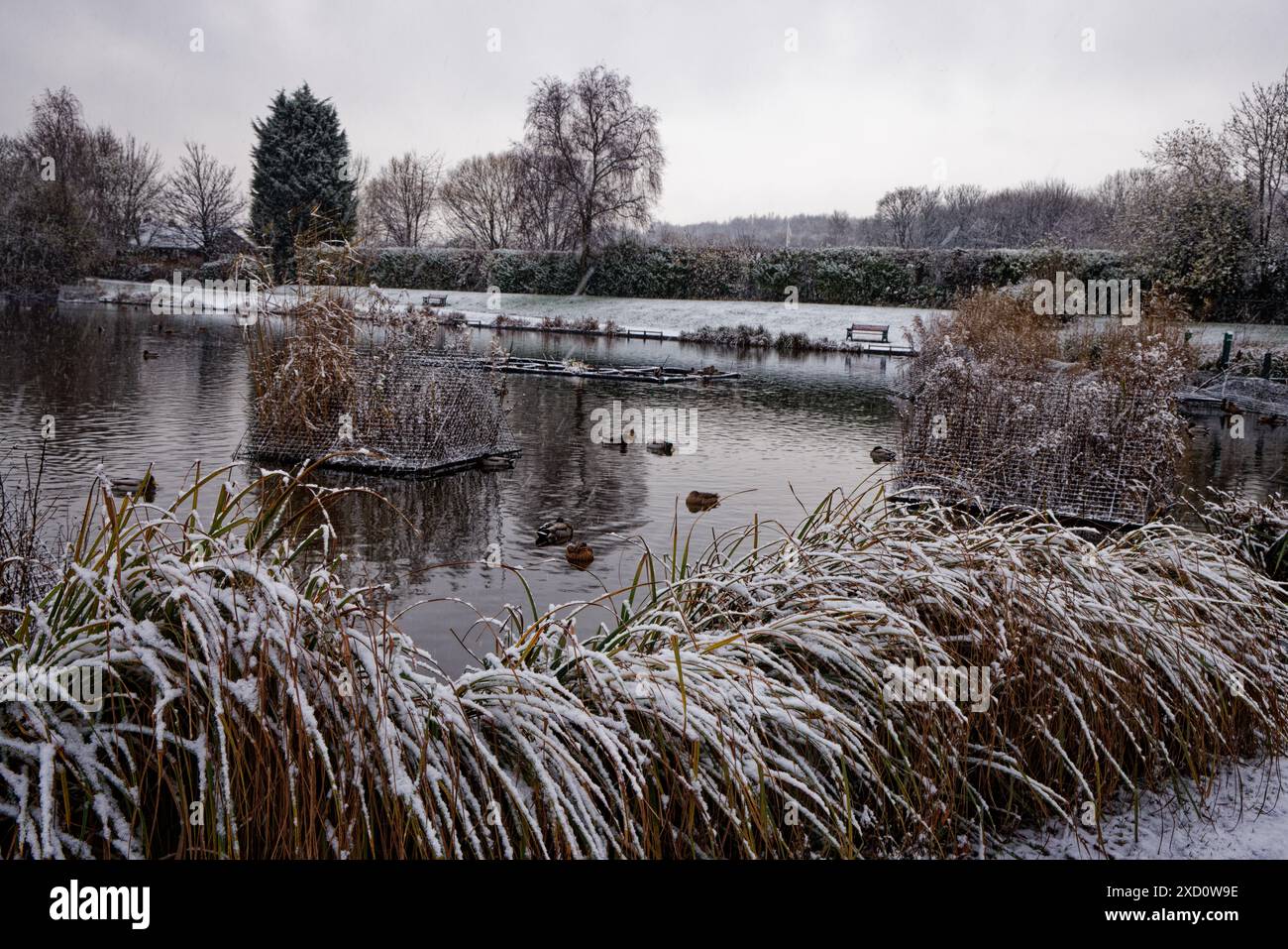 Gel hivernal au Clarence Park Lido, Bury. Banque D'Images