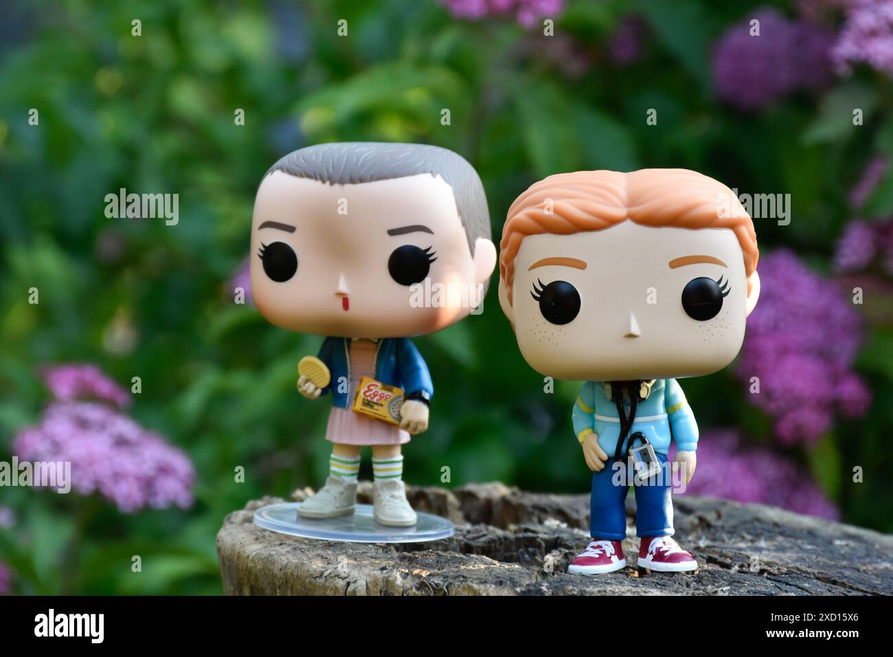 Figurines Funko Pop de Eleven et Max de la série télévisée d'horreur surnaturelle Stranger Things. Fleurs violettes, forêt sombre, endroit mystérieux. Banque D'Images