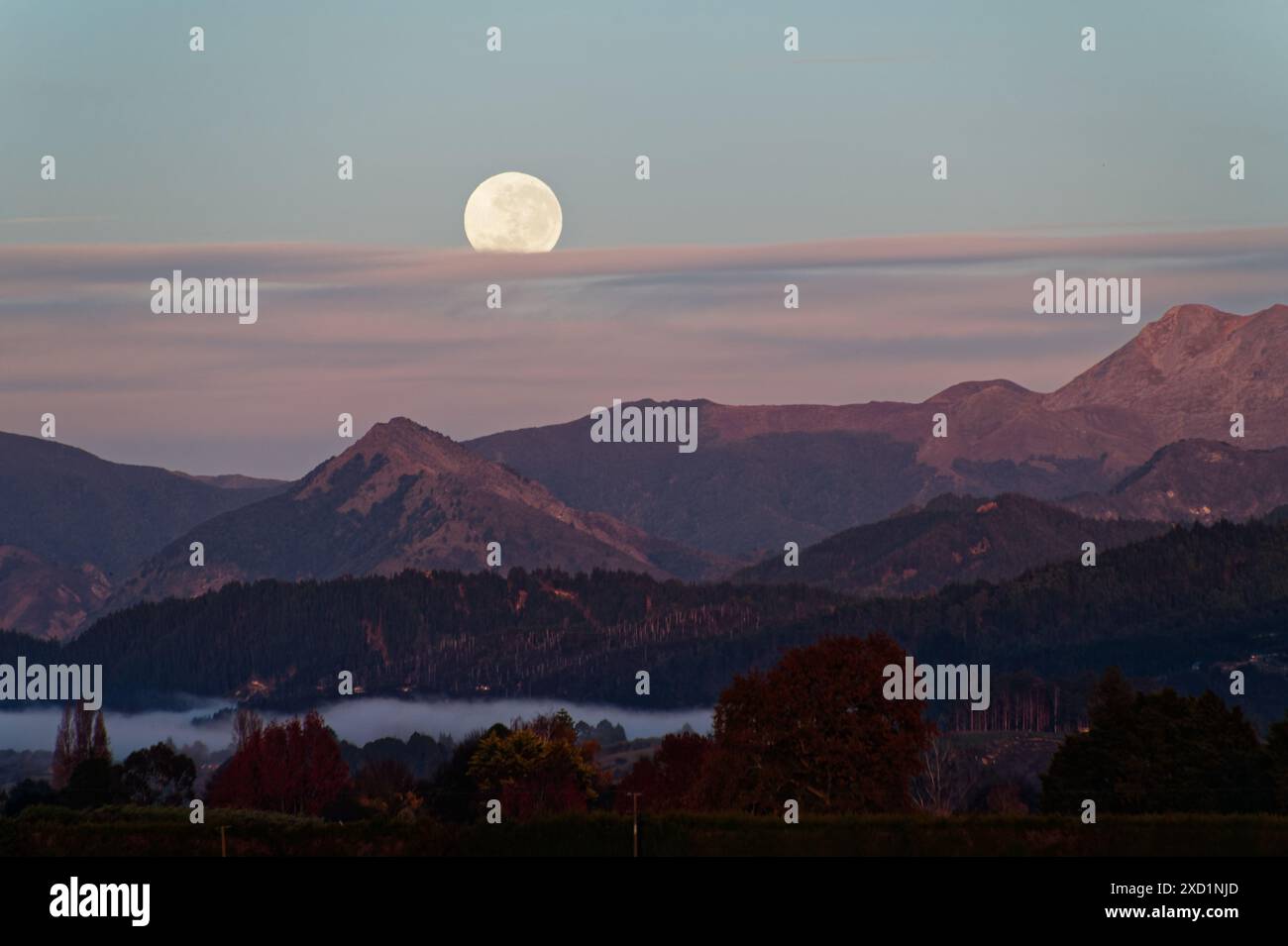 Une pleine lune commence à se coucher sur les collines et les montagnes du parc national de Kahurangi, à Aotearoa, en Nouvelle-Zélande. Banque D'Images