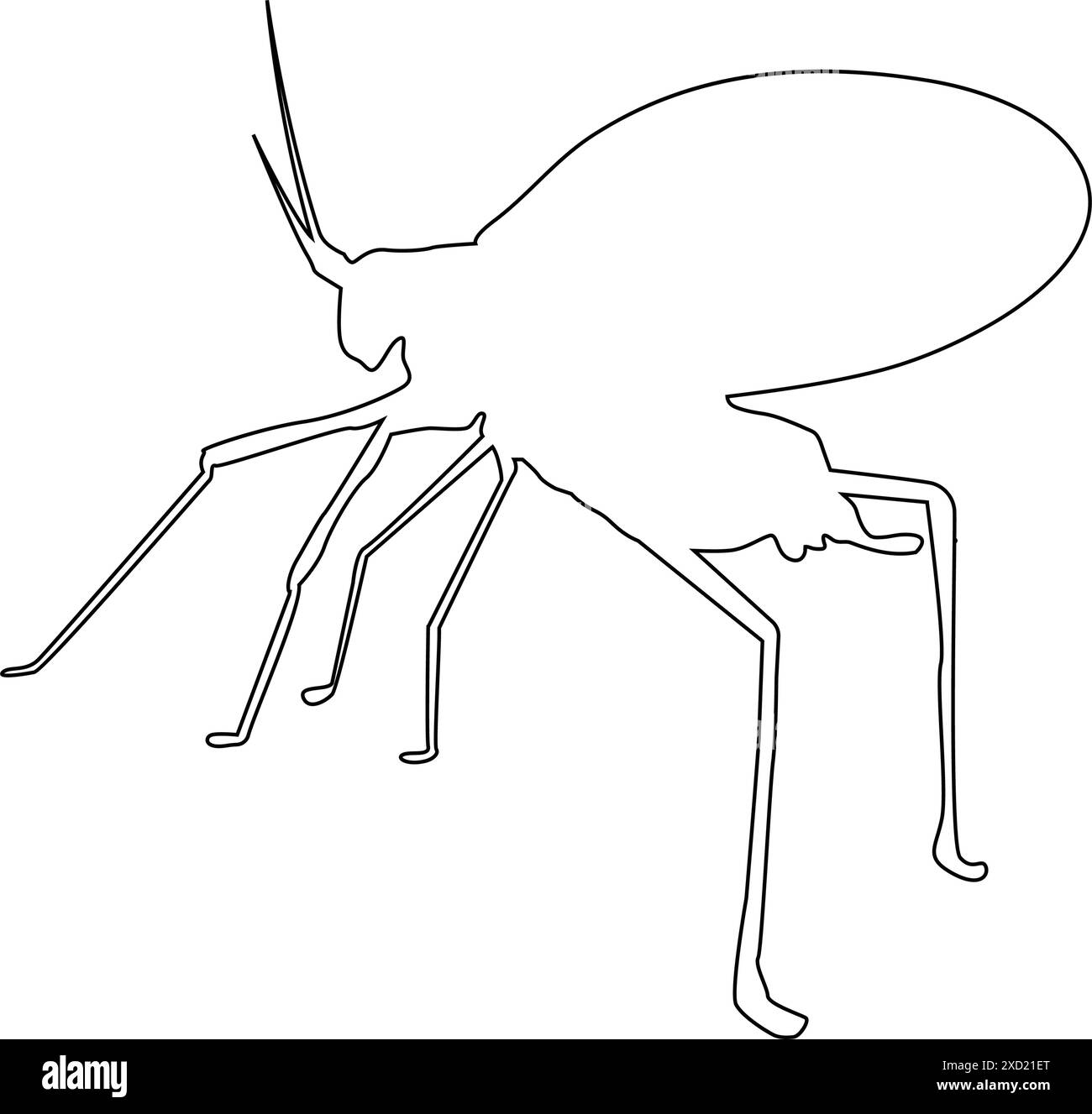 conception d'illustration d'icône de sauterelle katydid Illustration de Vecteur