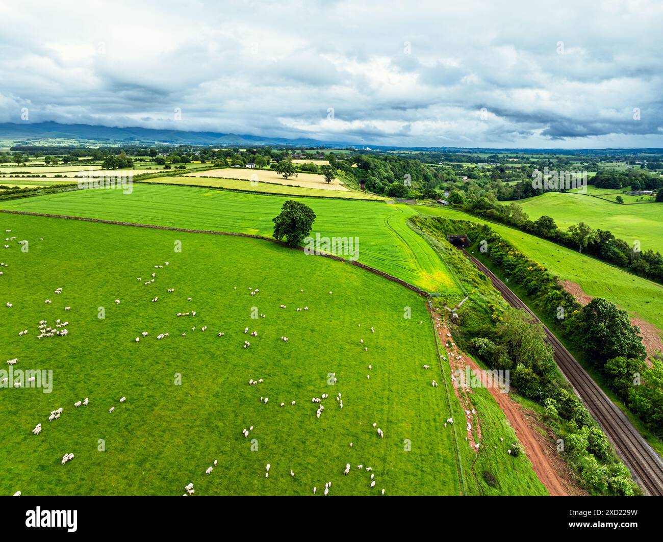 Fermes et champs au-dessus de la rivière Eden et de la rivière Eamont à partir d'un drone, Cumbria, Angleterre Banque D'Images