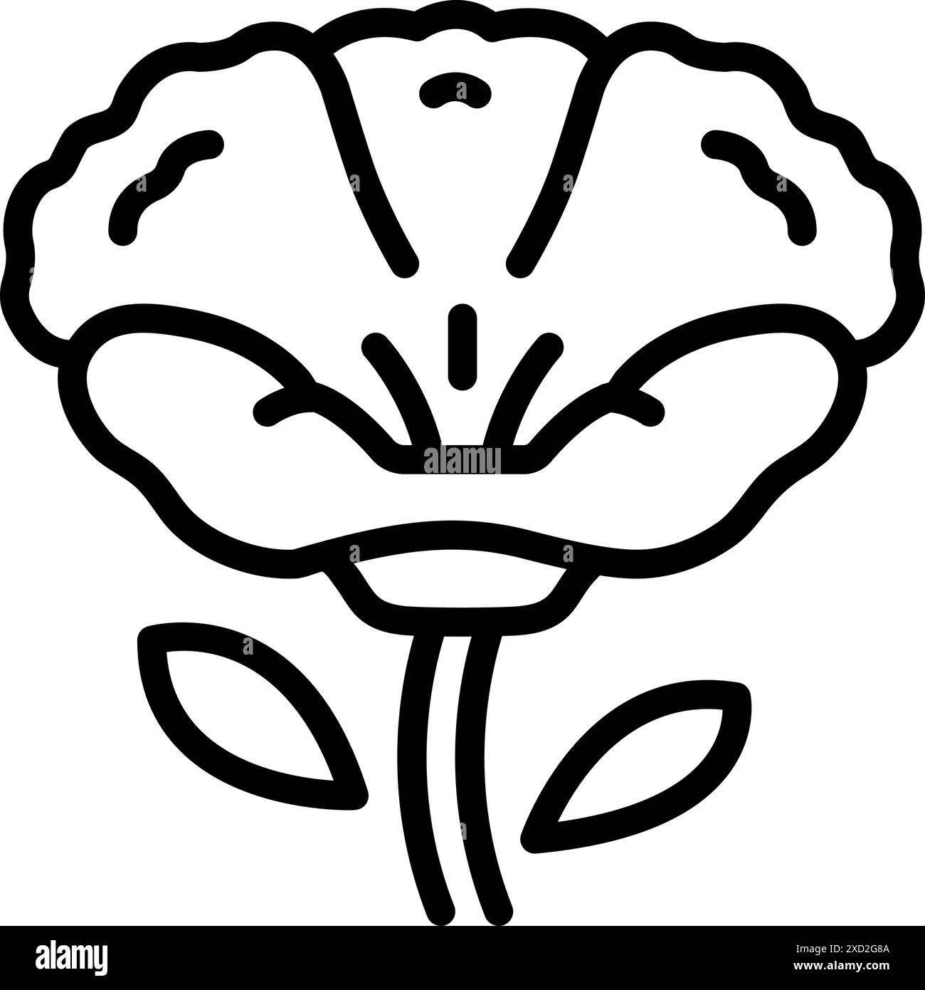 Icône pour le coquelicot , papaveraceae Illustration de Vecteur