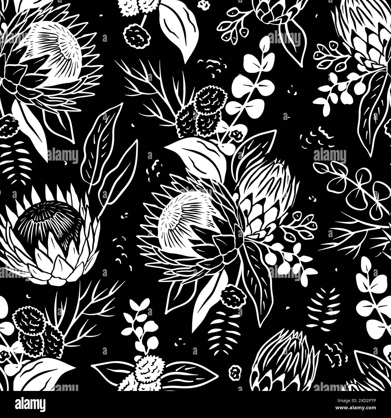 Motif sans couture noir et blanc avec des fleurs protea au trait art sur fond noir Illustration de Vecteur