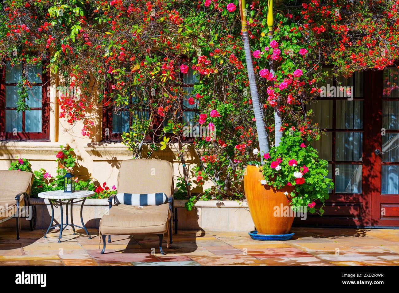 Coin salon confortable au bord de la piscine orné de plantes à fleurs luxuriantes et d'une atmosphère accueillante. Banque D'Images