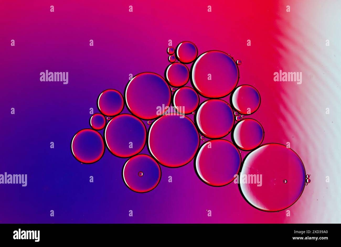 Arrière-plan abstrait. Bulles d'eau et d'huile. Banque D'Images