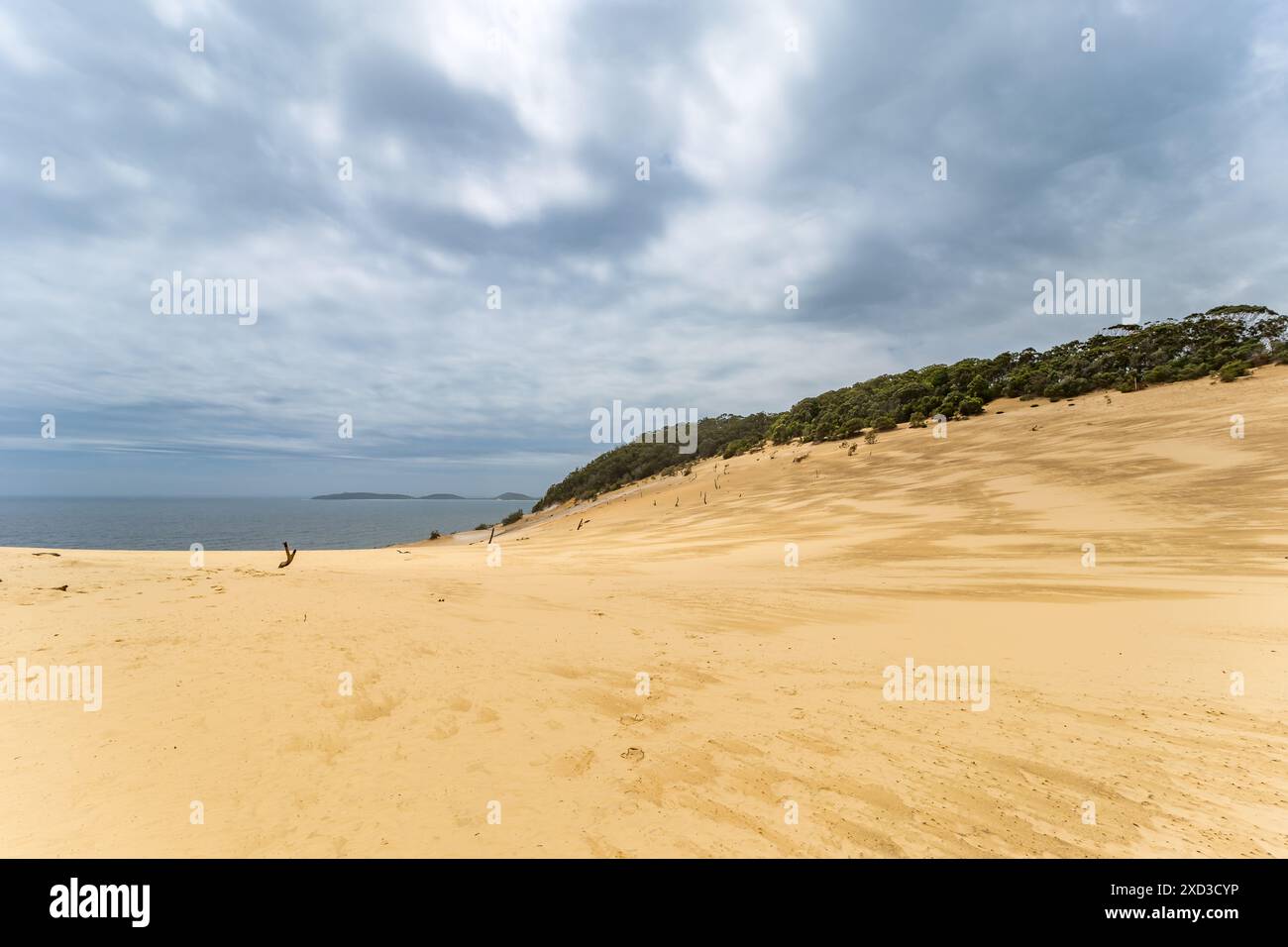 Panorama des dunes de sable à Carlo Sand Blow et Rainbow Beach, Queensland, Australie. Banque D'Images