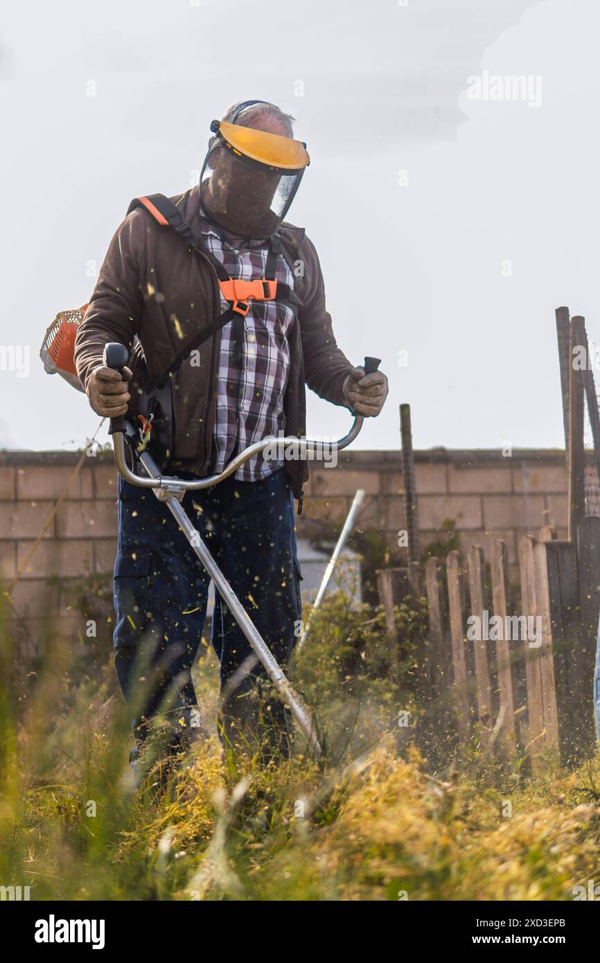 Un homme équipé d'un écran facial de protection et de cache-oreilles utilise un coupe-herbe puissant pour entretenir un jardin, envoyant des débris voler autour, avec un Clea Banque D'Images