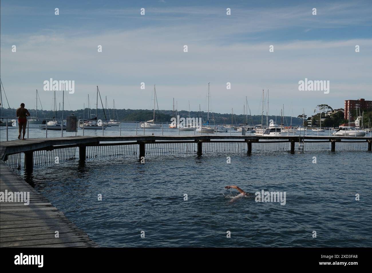 Un homme sort sur l'eau sur la promenade tandis qu'un autre homme nage des longueurs dans la piscine Murray Rose sur le port de Sydney avec des yachts amarrés et la tête du milieu Banque D'Images