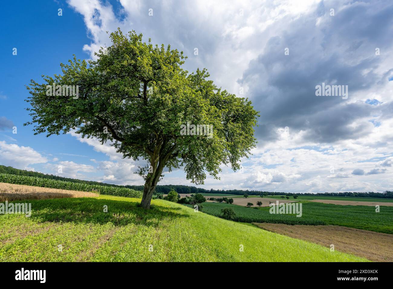 Géographie / voyage, Allemagne, ATTENTION! POUR GREETINGCARD-USE / POSTCARD-USE DANS LES PAYS GERMANOPHONES, CERTAINES RESTRICTIONS PEUVENT S'APPLIQUER Banque D'Images