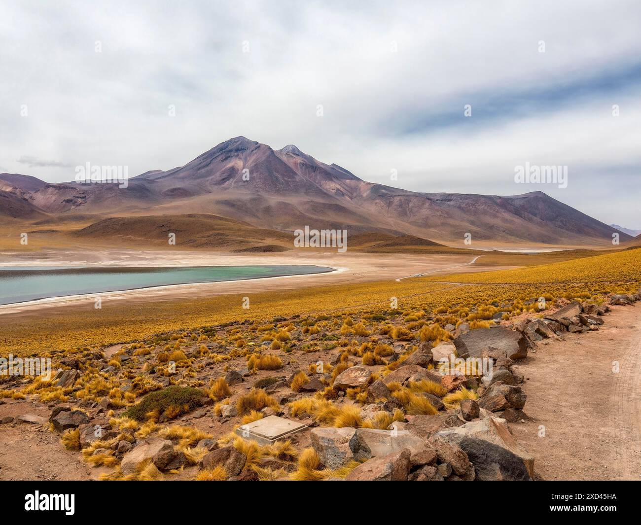 Lagunes des Highlands désert d'Atacama, Chili Banque D'Images