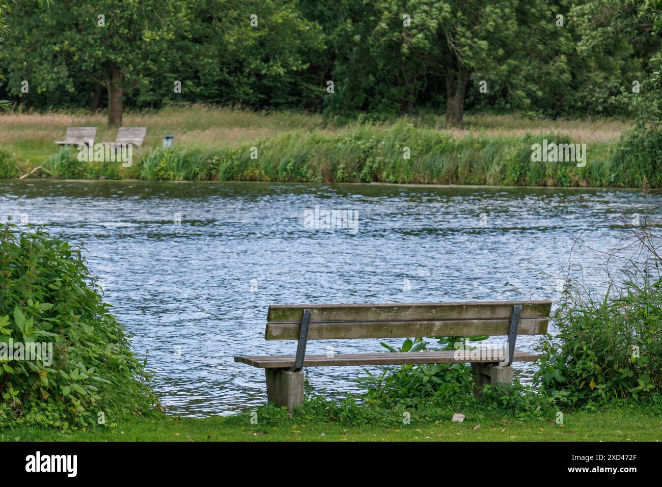 Banc en bois sur les rives d'une rivière, entouré par la nature verdoyante et une atmosphère paisible, borken, Rhénanie du Nord-Westphalie, Allemagne Banque D'Images