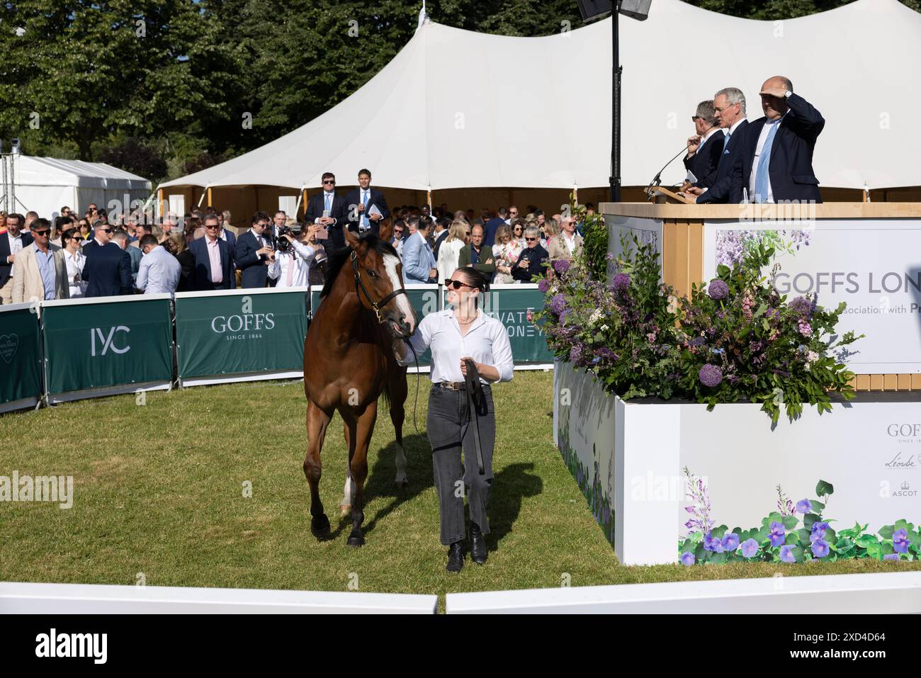 The Goffs London Sale, la vente de pur-sang la plus exclusive de Londres où les chevaux changent de mains pour des millions, Kensington Palace Gardens, Londres, Royaume-Uni Banque D'Images