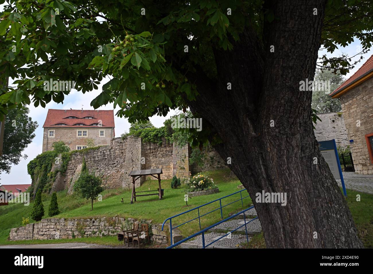 20 juin 2024, Thuringe, Weißensee : le château de Weißensee est l'un des bâtiments laïques romans les mieux conservés d'Allemagne. Le programme d'investissement spécial de la Fondation des palais et jardins de Thuringe (STSG), financé par le gouvernement fédéral et l'État libre de Thuringe pour un volume total de 200 millions d'euros, est également mis en œuvre ici. Photo : Martin Schutt/dpa Banque D'Images