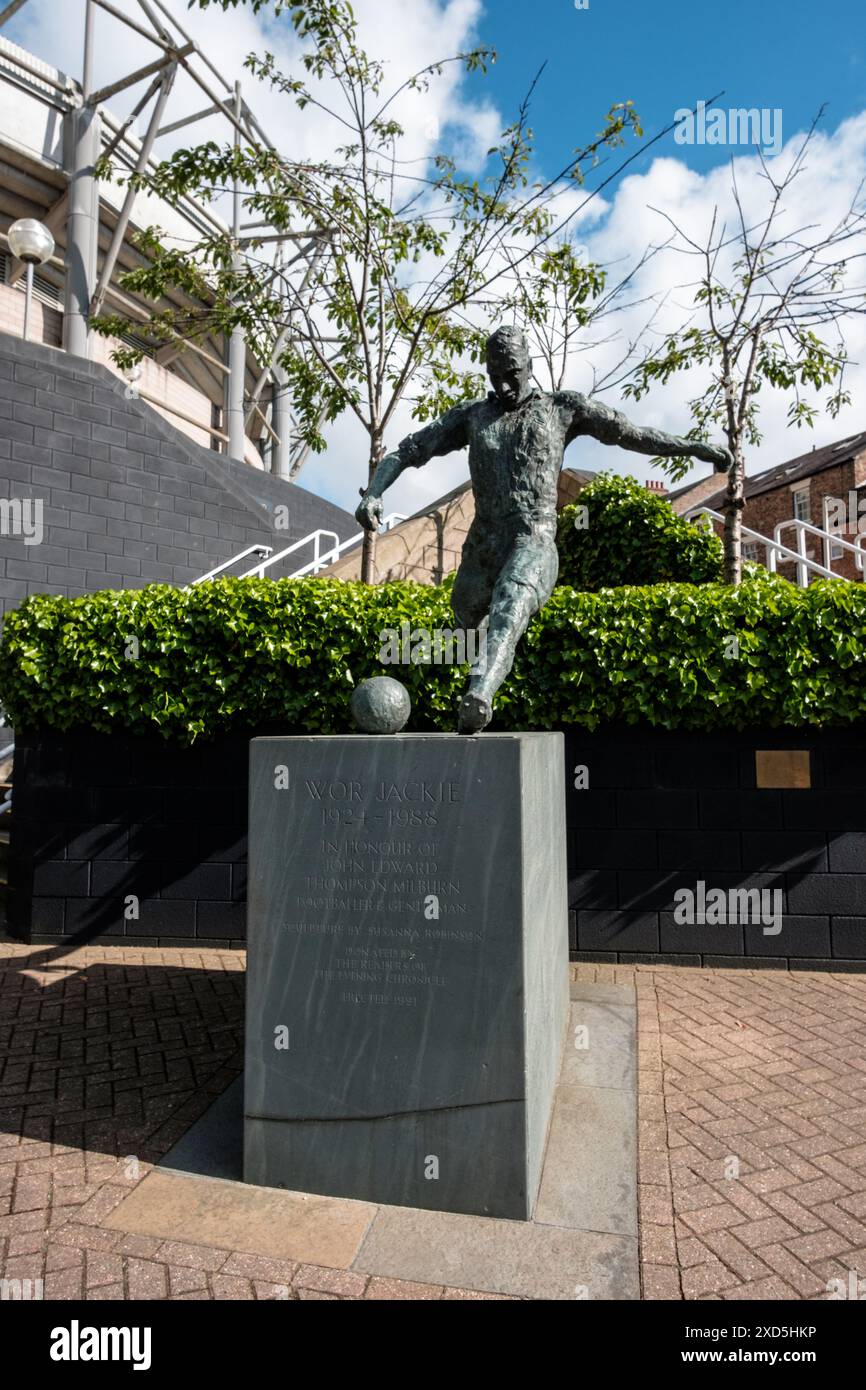 Newcastle UK : 8 juin 2024 : Newcastle United Football Atadium. Statue de Wor Jackie par jour ensoleillé. Hommage à Jackie Milburn à St James Park Banque D'Images