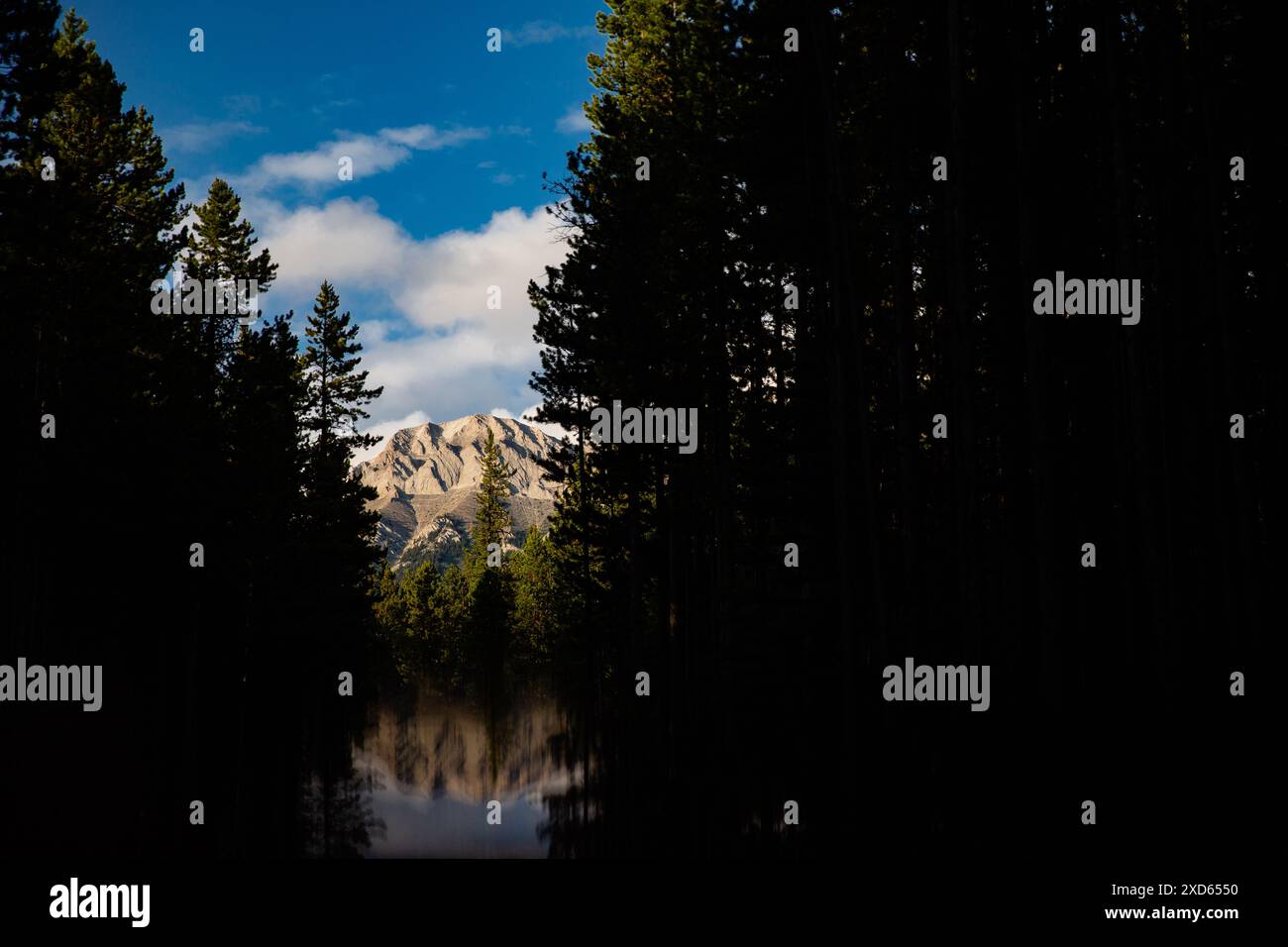 Paysages de montagne et de forêt avec une réflexion dans le pays de Kananaskis un parc provincial et une destination populaire de randonnée et de camping en Alberta, Canada Banque D'Images