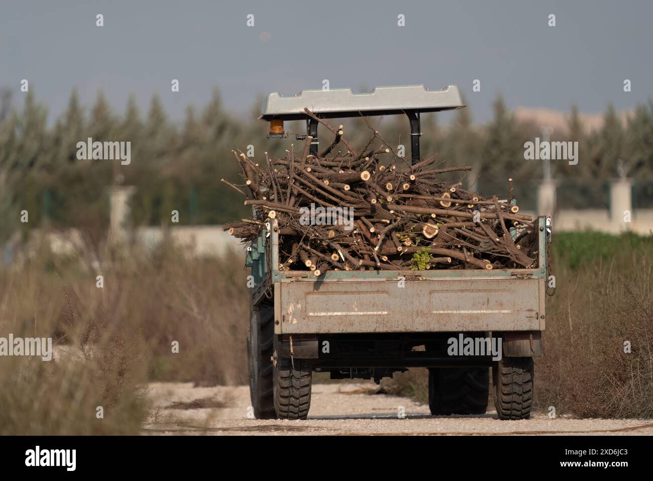 Forestier prenant des arbres coupés et des buissons avec un tracteur en Turquie Banque D'Images