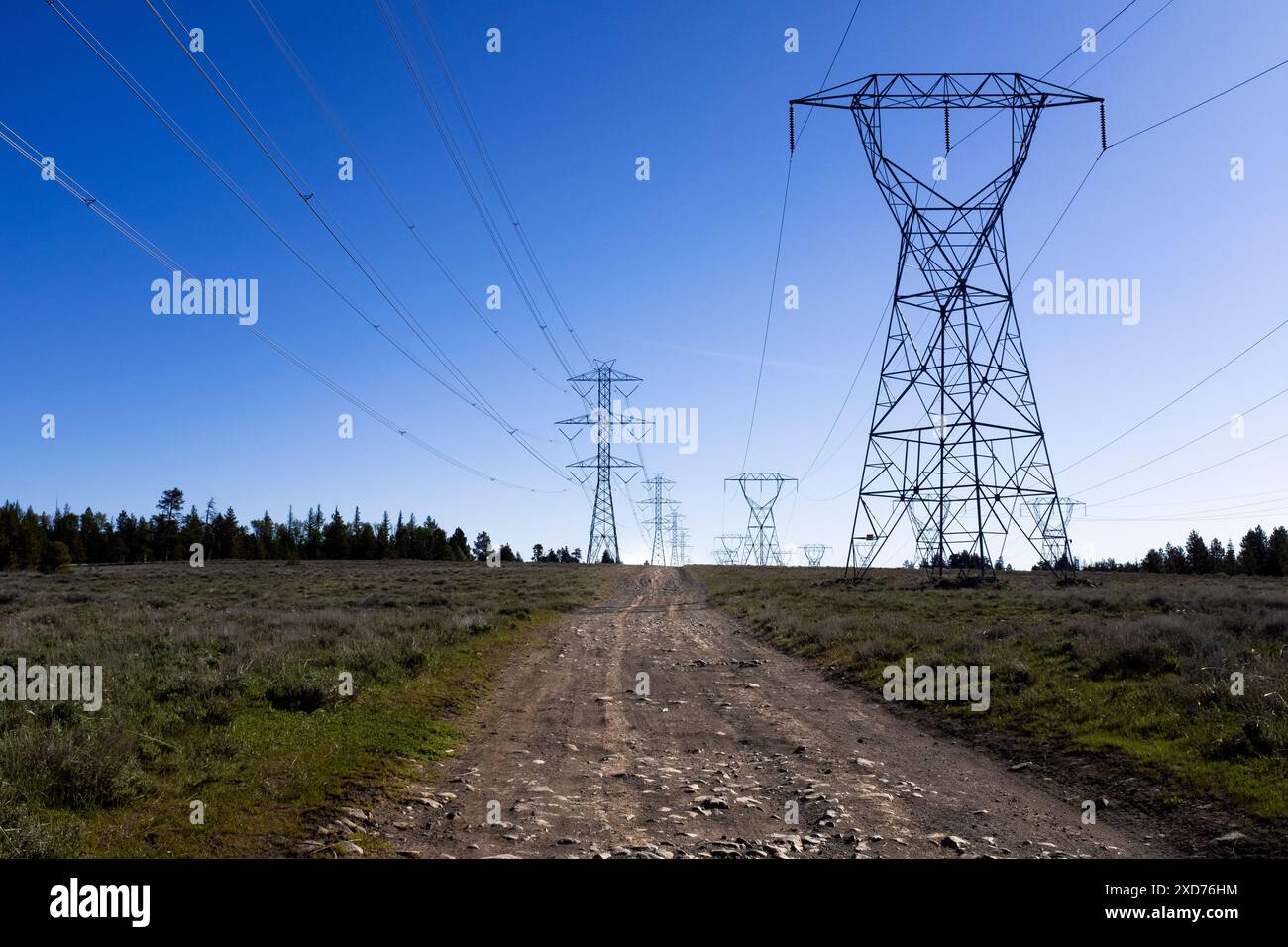 WA24884-00....... WASHINGTON - lignes électriques dans la réserve faunique de Clockum. Fait partie de la route de vélo de montagne Cross Washington. Banque D'Images