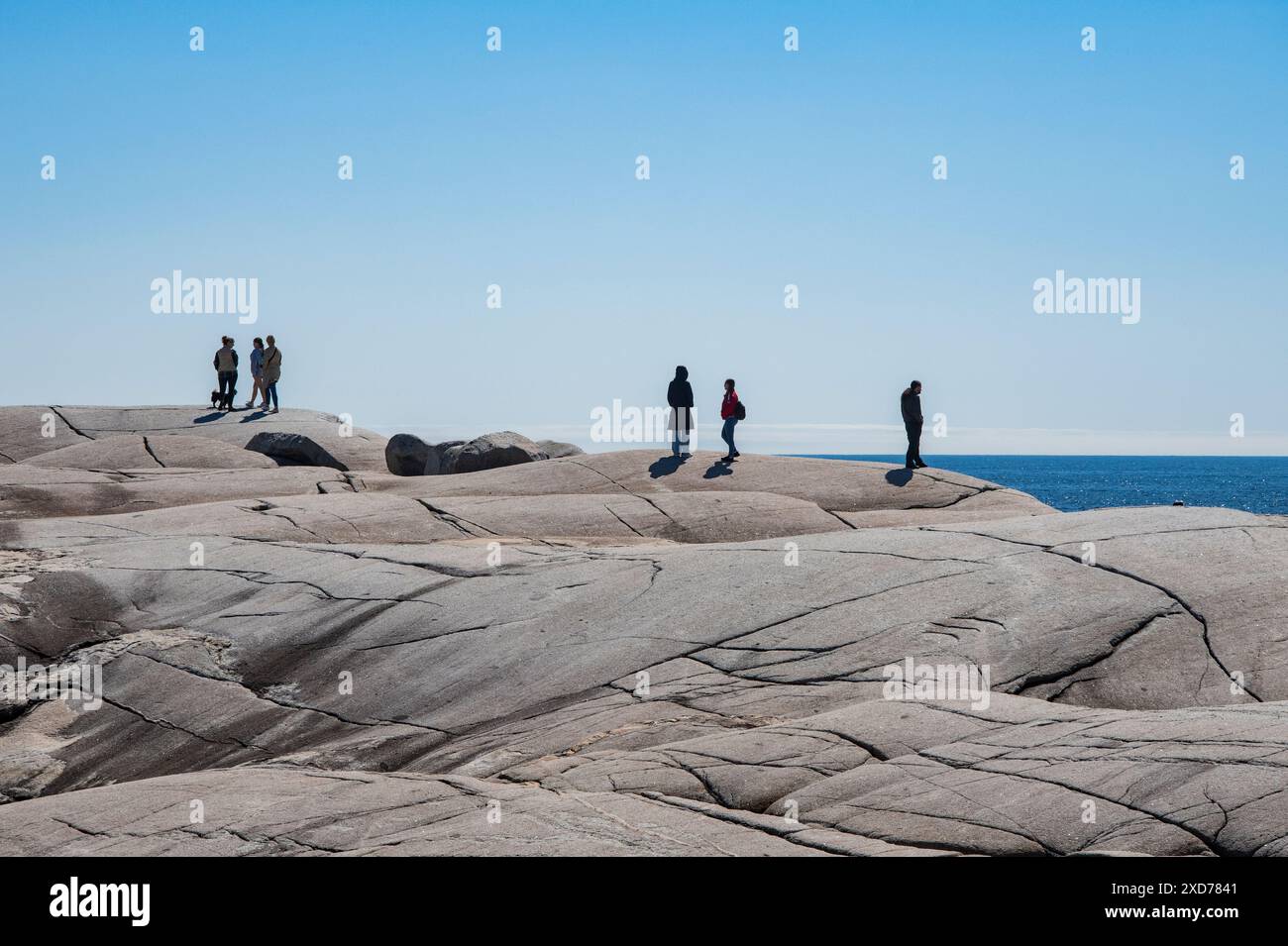 Affleurement de granit à Peggy's Cove, Nouvelle-Écosse, Canada Banque D'Images